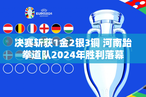 决赛斩获1金2银3铜 河南跆拳道队2024年胜利落幕